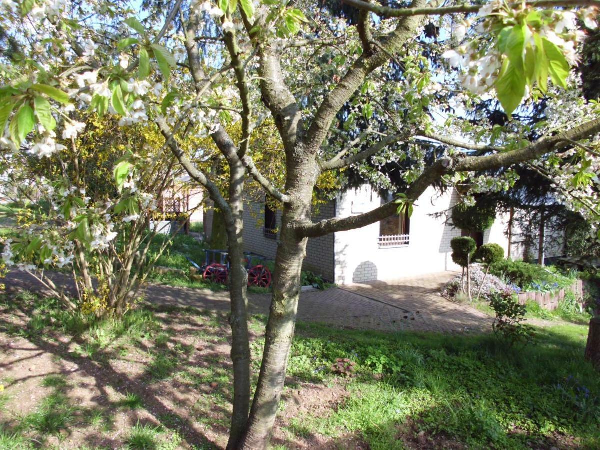 Ferienhaus Santo Nordhausen Exterior photo